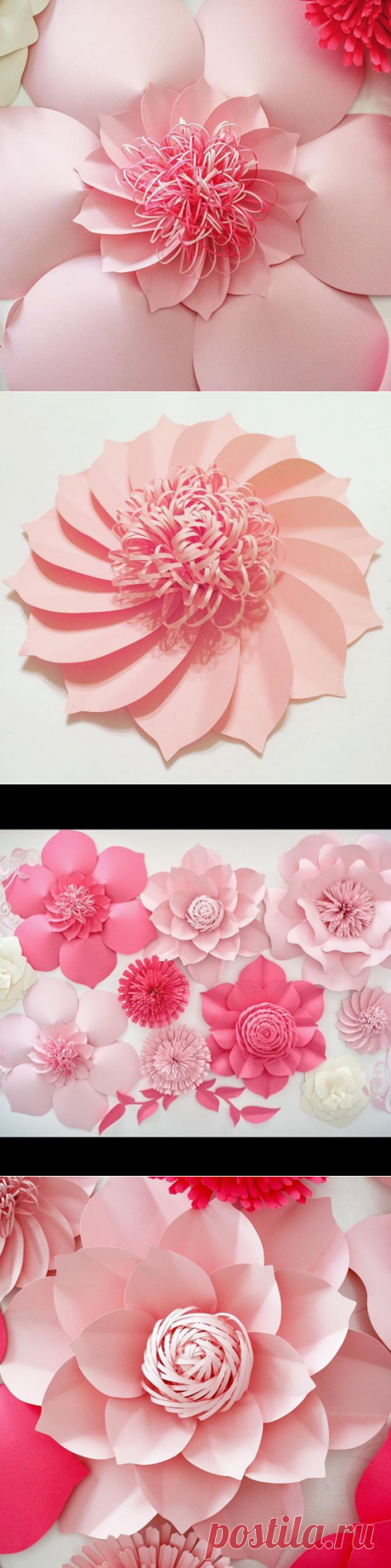 Paper Flowers 🌸 (@apaperevent) • Instagram photos and videos