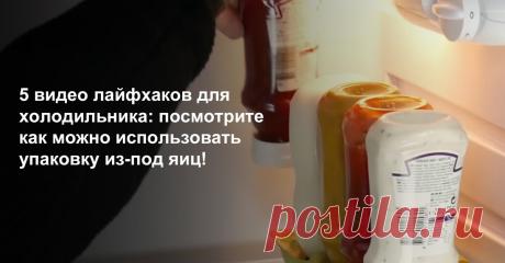 5 видео лайфхаков для холодильника: посмотрите как можно использовать упаковку из-под яиц! Скоро нам всем предстоит делать большие закупки, и мы решили поискать способы, как проще разложить все по полочкам и освободить свободное место. Мы нашли несколько очень удобных лайфхаков. Смотрите, как можно использовать  пластиковые офисные подставки для хранения бумаг, упаковки из-под яиц и еще много подручных вещей для того, чтоб сэкономить место.