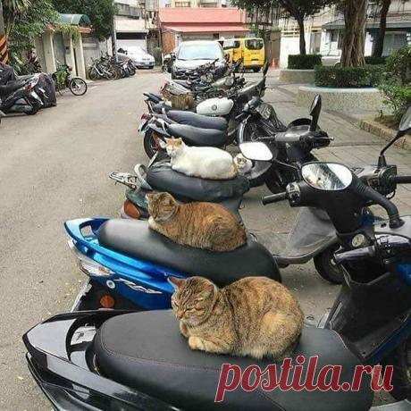 Photo by Visit Istanbul Official in Istanbul, Turkey. Изображението може да съдържа: седнали хора, мотоциклет и на открито