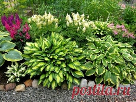 Как красиво разместить хосты на участке