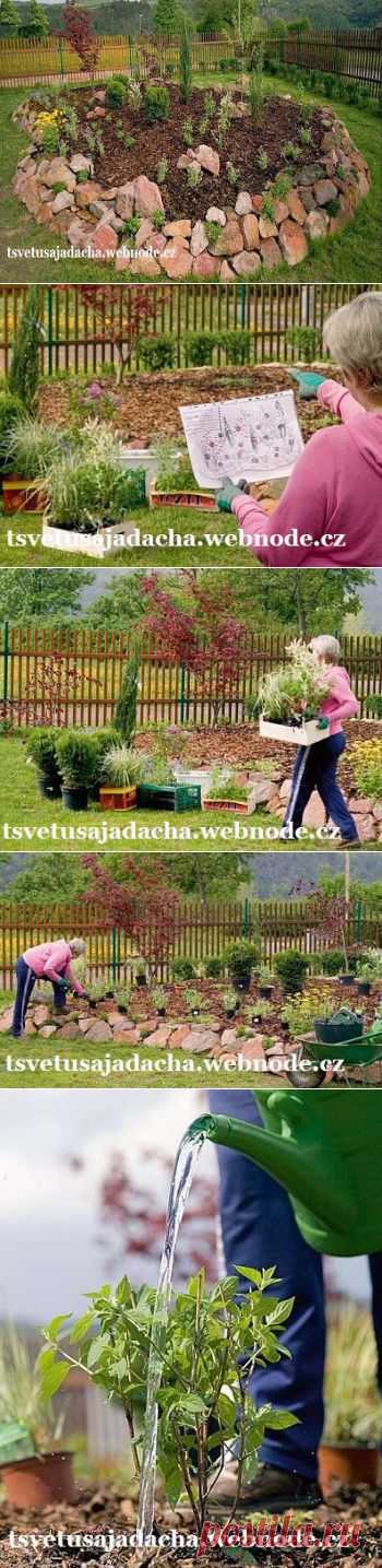 Ландшафтный : декоративный островок :: Цветущая дача