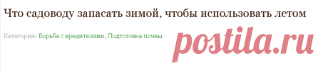 Что садоводу запасать зимой, чтобы использовать летом