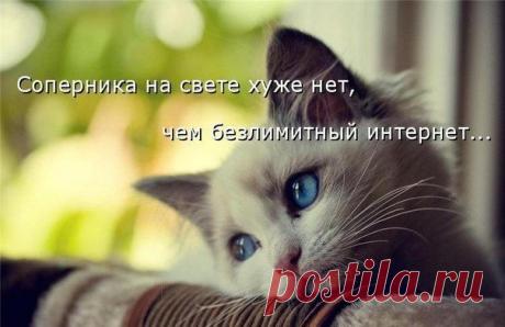 Мой Мир@Mail.Ru