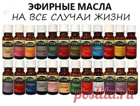 (50) Одноклассники