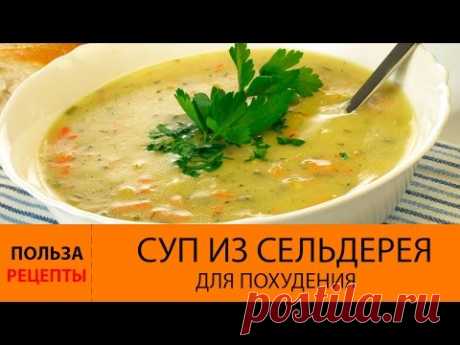 Суп из сельдерея для похудения. Как ПРИГОТОВИТЬ суп для похудения из сельдерея?