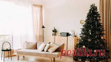 "Живая или искусственная": россиянам назвали еще один вариант. Для тех, кто хочет живую новогоднюю елку, но не готов к тому, что дерево будет срублено, хорошим вариантом станет дерево в горшке. Такой совет в беседе с "Радио 1" дала инженер Дмитровского лесного питомника Галина ...