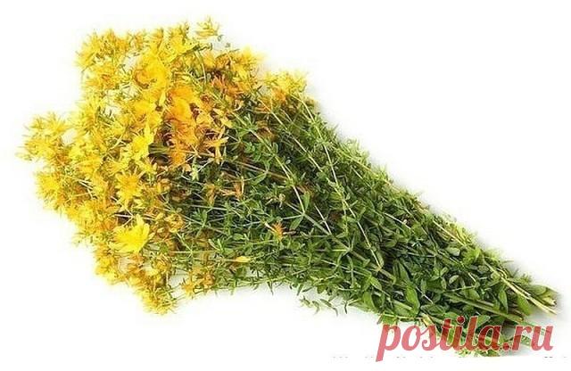 1 непрочитанный чат