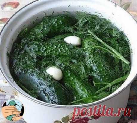 Суточные малосольные огурчики на минералке
#мужскаякулинария
Солить нужно небольшие, крепкие, молодые огурцы «с пупырышками».
Малосольные огурчики на минералке – это, просто, бомба!
Ингредиенты:
— 1 кг огурцов
— 1 литр минеральной воды
— 2 столовые ложки соли без горки
— укроп
— 5 зубчиков чеснока
Огурцы нужно помыть и обрезать хвостики.
Затем уложить в емкость для засолки, переложив укропом и чесноком.
Минералку вылить в глубокую миску и добавить соль. При этом минеральная вода начнет б