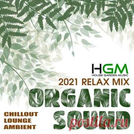 Organic Sound (2021) Музыка, волшебные звуки которой создадут внутреннею гармонию и душевное равновесие. Предлагается к прослушиванию для создания медитативного настроения в свободное время. Облака на небе, шелест листвы и чашка с ароматным кофем станут Вашими лучшими соратниками в этом предприятии.Категория: Musical