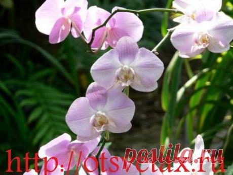 рукоделие разное | Записи в рубрике рукоделие разное | Я желаю тебе счастья!