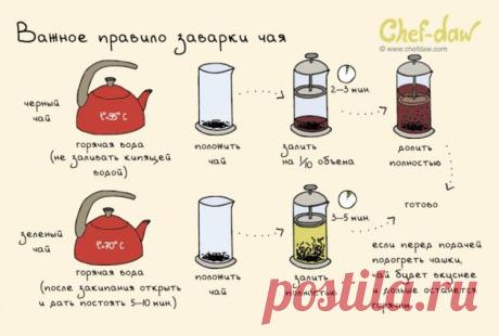 20 жизненоважных кухонных шпаргалок, которые сделают из вас шеф-повара экстра класса