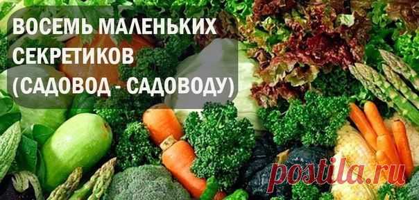 ВОСЕМЬ МАЛЕНЬКИХ СЕКРЕТИКОВ (САДОВОД - САДОВОДУ)