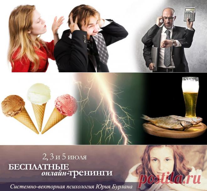 Системно-векторная психология . Как убедить мужа, что он не прав?