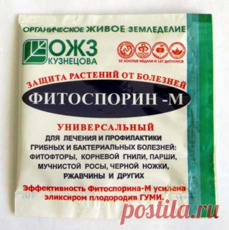 Обработка сада перед зимой от основных болезней: как и чем обработать правильно, видео