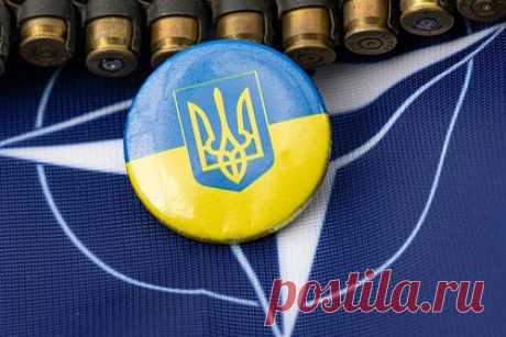 Экс-премьер Украины высказался о получателях выгоды от вступления страны в НАТО. Бывший премьер-министр Украины Николай Азаров высказался о получателях выгодны от вступления страны в НАТО. По его словам, членство в альянсе нужно не украинцам, а киевским властям. Он уточнил, что имеет в виду проамериканский режим, который, по его мнению, представляет собой администрация украинского лидера.