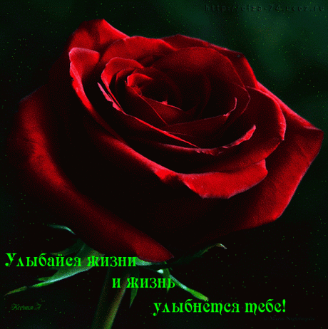 Улыбайтесь! Улыбайтесь люди!