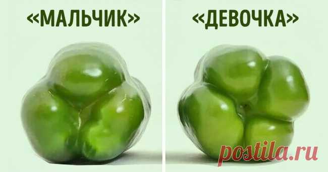 Для чего хозяйка кладет в морозилку 2 луковицы?