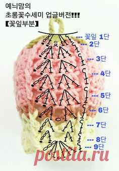 초롱꽃수세미 업그레이드!!!  이번 업글버전은 뜨기 더 쉽고!!! 실도 작게들며!!!...