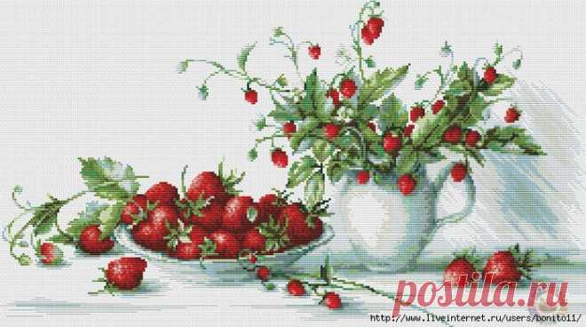 Письмо «сообщение Bonito11 : Вышивка...Still life with strawberries... (00:31 26-10-2017) [4649465/423809705]» — Bonito11 — Яндекс.Почта