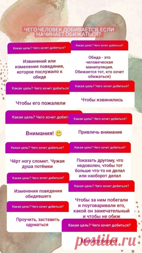 Обижаются ли животные? Факты, исследования, доказательства. | Дневник кошатницы | Яндекс Дзен