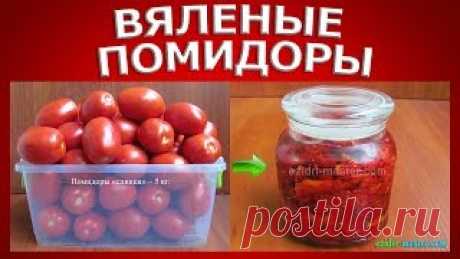 Рецепты для электросушилки