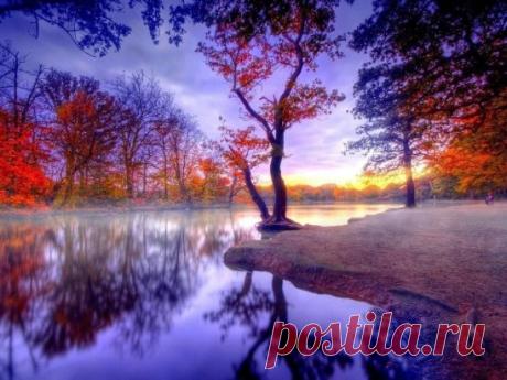 Каждый лист дерева становится страницей священного писания, если однажды душа научилась читать.
Саади