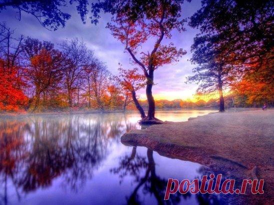 Каждый лист дерева становится страницей священного писания, если однажды душа научилась читать.
Саади