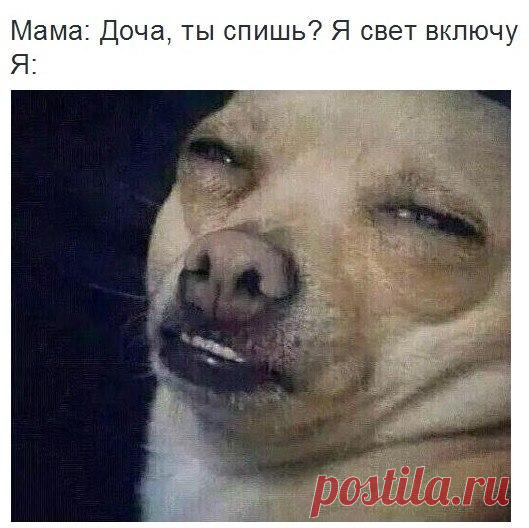 Диалоги