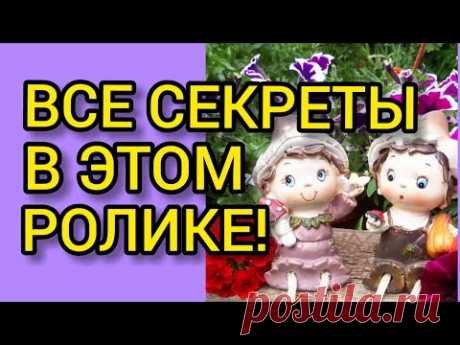 Рассада ПЕТУНИИ по дням!//Все секреты от А до Я!