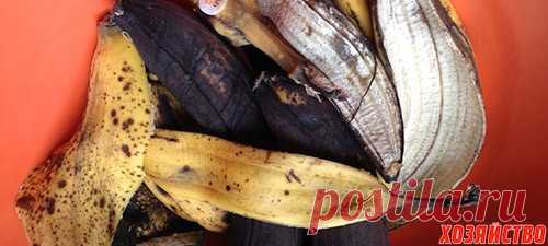 Сушеные банановые корки — отличное удобрение для вашего огорода