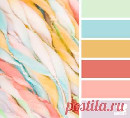 Design Seeds® | for all who ❤ color