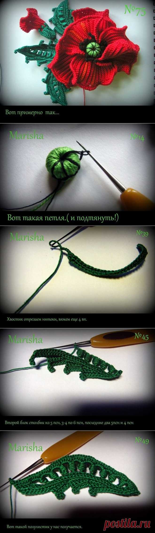 Красный МАК
