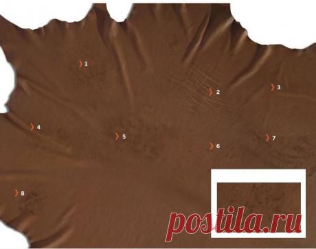 Признаки натуральности кожи