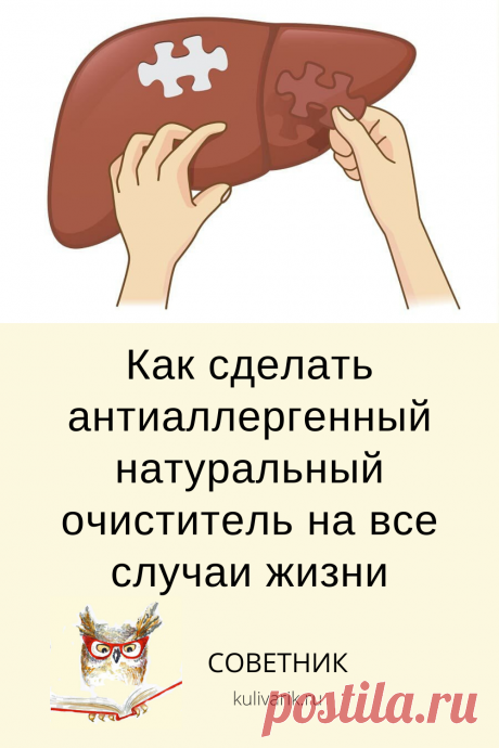Как восстановить печень? - СОВЕТНИК