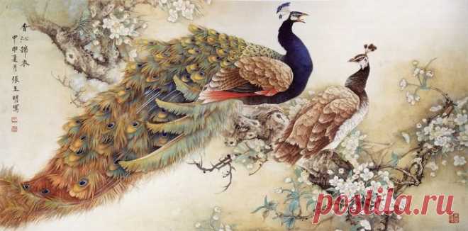 карты для декупажа с павлином: 13 тыс изображений найдено в Яндекс.Картинках