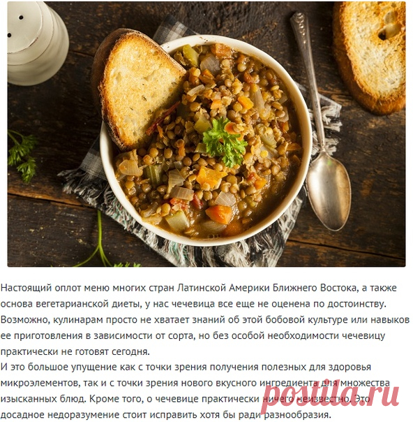 Чечевица: все о самой недооцененной бобовой культуре! 

Настоящий оплот меню многих стран Латинской Америки Ближнего Востока, а также основа вегетарианской диеты, у нас чечевица все еще не оценена по достоинству. Возможно, кулинарам просто не хватает знаний об этой бобовой культуре или навыков ее приготовления в зависимости от сорта, но без особой необходимости чечевицу практически не готовят сегодня. И это большое упущение как с точки зрения получения полезных для здоровь...
