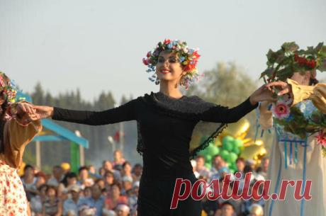 Мои мысли "мои скакуны". Сколько их пролетает за день: канадские нейробиологи подсчитали вас, шальных. Но я не согласна | Mun Ira | Яндекс Дзен