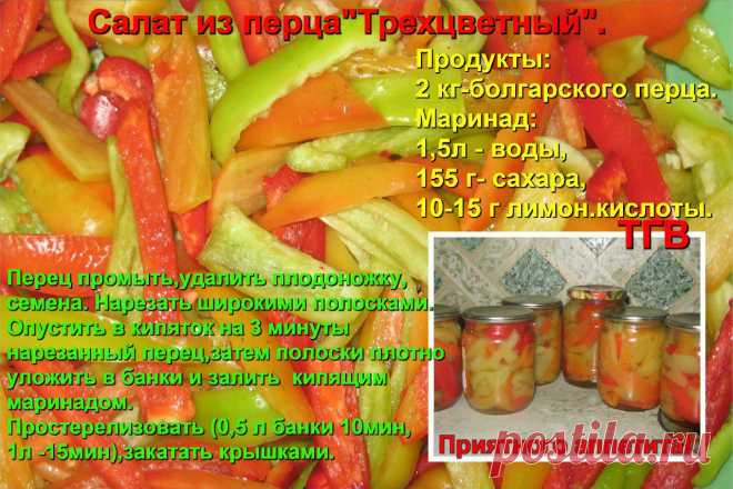 погребок | 35 фотографий
