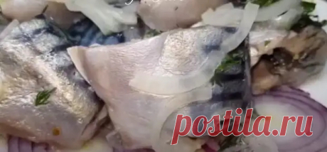 Скумбрия за копейки: в разы вкуснее красной рыбы. Рецепт мурманских моряков на праздничный стол!