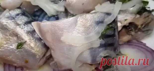 Скумбрия за копейки: в разы вкуснее красной рыбы. Рецепт мурманских моряков на праздничный стол - Скатерть-Самобранка - медиаплатформа МирТесен