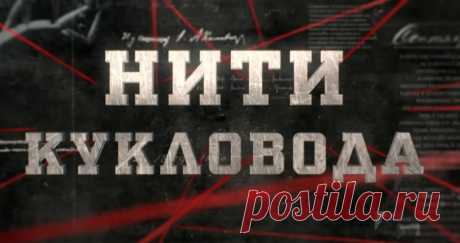 ВЫСТРЕЛ ЧЕРЕЗ ЗАШТОРЕННОЕ ОКНО СТАЛ СМЕРТЕЛЬНЫМ: ЖЕРТВЕ ПОПАЛИ ТОЧНО В ГОЛОВУ | ВЕЩДОК