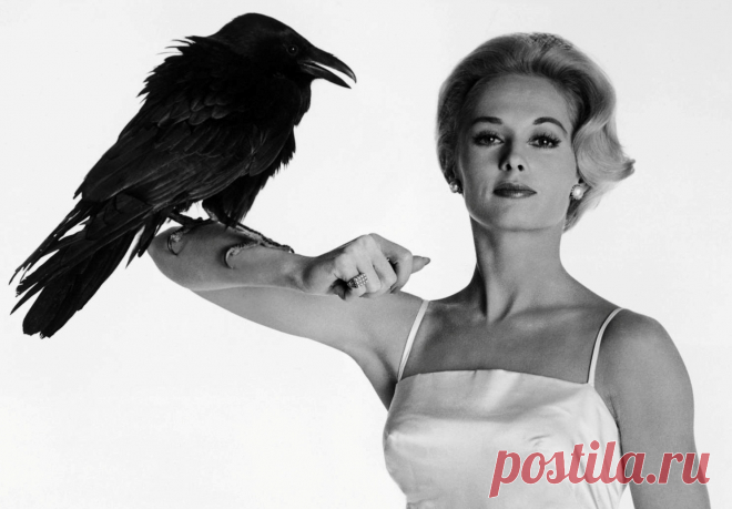 Типпи Хедрен