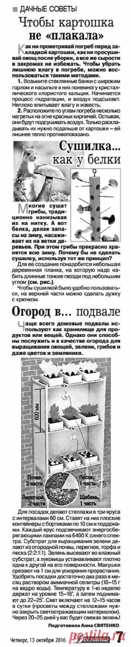 Дачные советы - октябрь