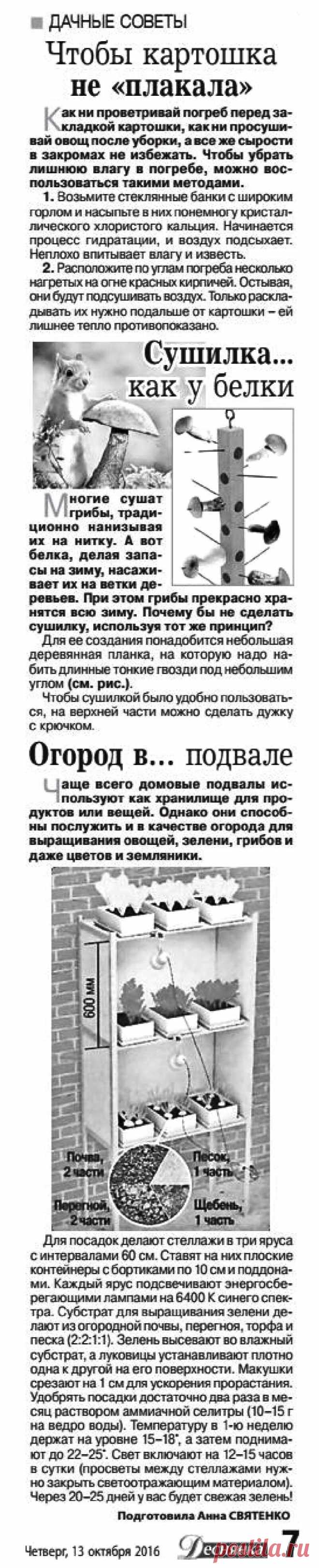 Дачные советы - октябрь