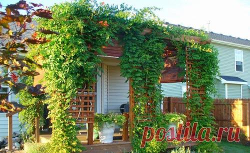 Мастер-классы | Домохозяйка