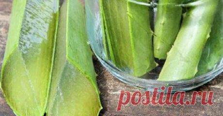 Смешайте алоэ вера с этим средством, чтобы быстро отбелить кожу Вы будете удивлены! Поддержание гладкой и красивой кожи сложнее, чем кажется, и люди все больше осознают важность здоровья кожи, чем когда-либо.