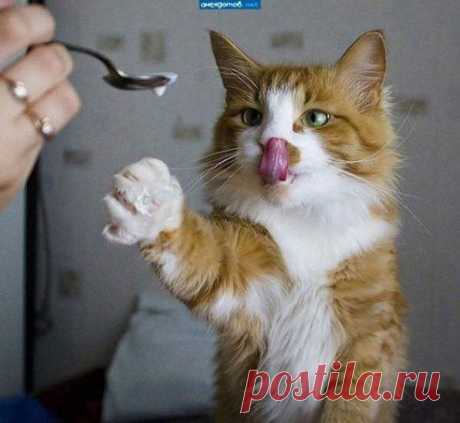 ЕЩЕ ЛОЖЕЧКУ..