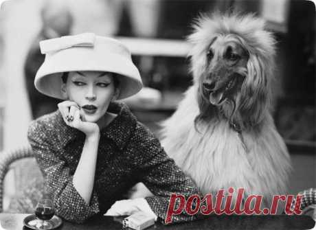 Выйти из себя