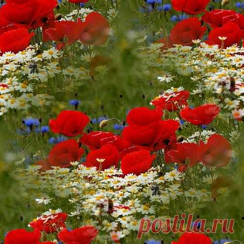 Фоны,текстуры