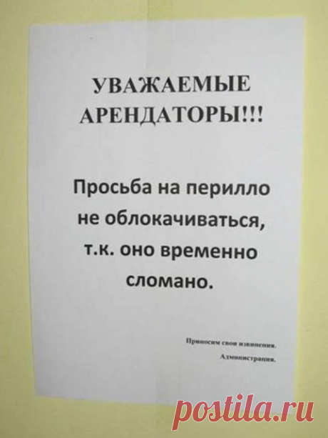 Наталья Белюшина:  Торжество абырвалга – Наталья Белюшина – Блог – Сноб